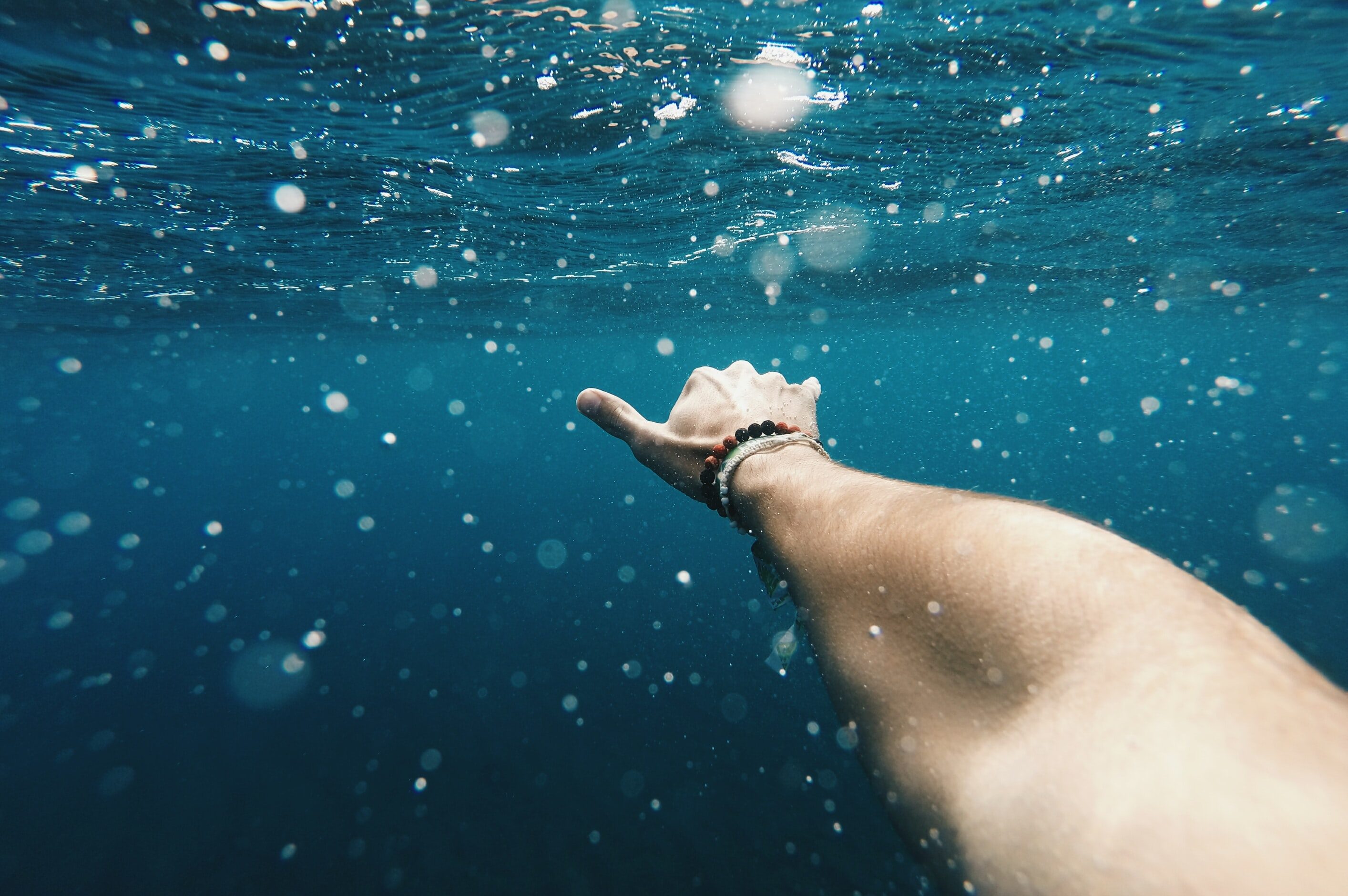 Shaka sous l'eau